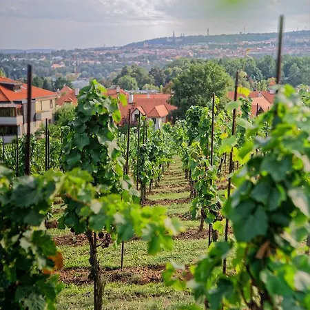 Vinice Salabka Lägenhet *